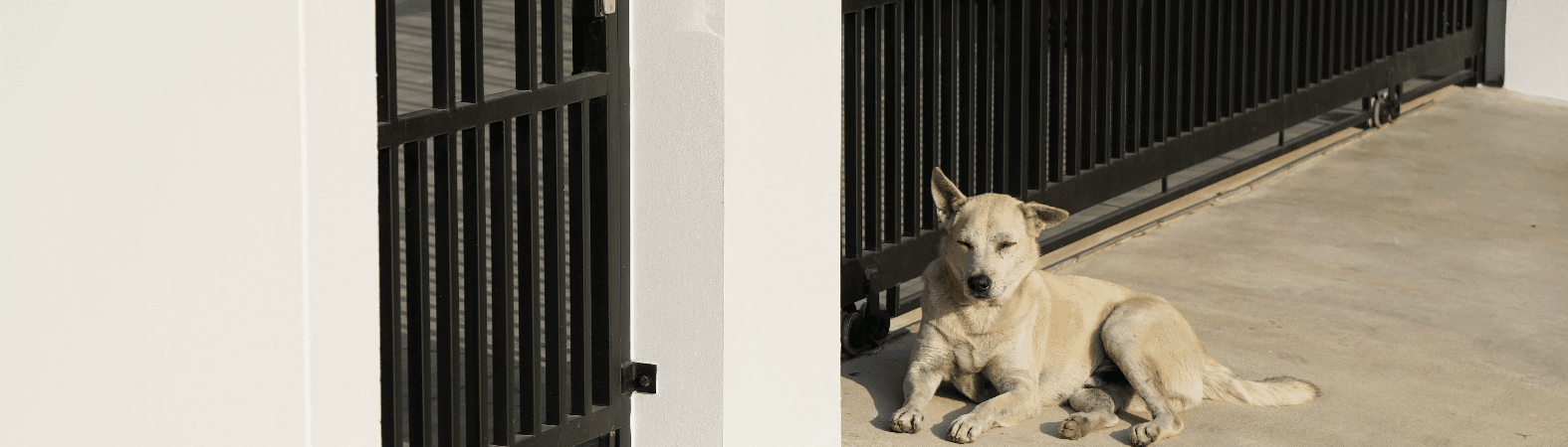 Are electric gates safe for pets and children?